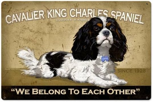 Home Decor Shop - ป้ายโลหะสไตล์เรโทร ลาย Cavalier King Charles Spaniel