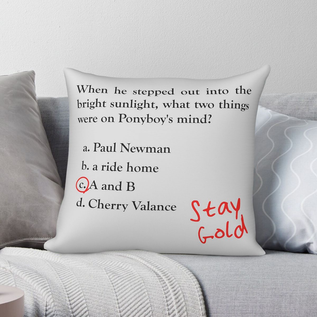 Outsiders Ponyboy Quiz Questio - Home Decor Quiz บทวิจารณ์และราคา